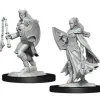 WizKids Miniaturen>D&D Nolzur'S Marvelous Miniatures: Kalashtar Cleric Female