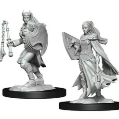 WizKids Miniaturen>D&D Nolzur'S Marvelous Miniatures: Kalashtar Cleric Female