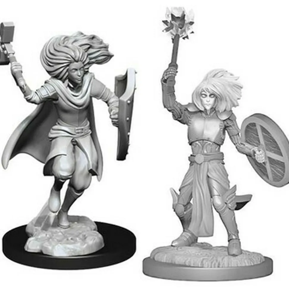 WizKids Miniaturen>D&D Nolzur'S Marvelous Miniatures: Changeling Cleric