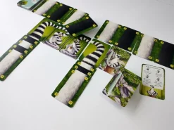 Jolly Dutch Kaartspellen><noscript><img width=