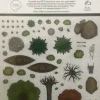 Role 4 Initiative Battlemats>Nature: Dungeon Dressing: Dry Erase Vinyl Stickers