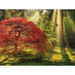 Heye Puzzle 1000 Stukjes>Puzzel Magic Forest - 1000 Stukjes