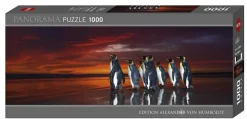 Heye Puzzle 1000 Stukjes>Puzzel Pinquins - 1000 Stukjes