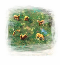 Happy Meeple Samenwerking Bordspel>Red Outpost - Bordspel