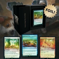 Wizards of the Coast Secret Lair>Secret Lair Drop Series: Every Dog Has Its Day Foil Edition