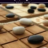 Smirk & Dagger Games 2 Persoonsspellen>Shobu - Bordspel