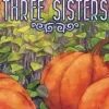 25th Century Games Strategische Spellen>Three Sisters Reprint