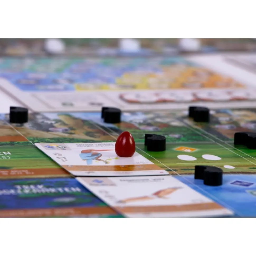 999 Games 2 Persoonsspellen>Wingspan Uitbreiding: Azie Nl